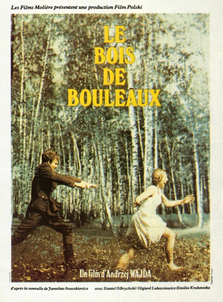 Березняк (1970) постер