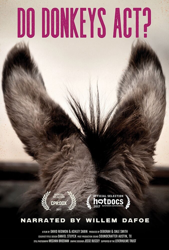 Do Donkeys Act? (2017) постер