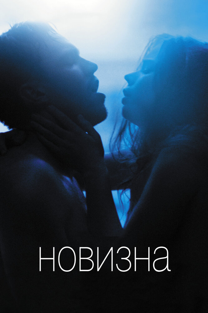 Новизна (2017) постер