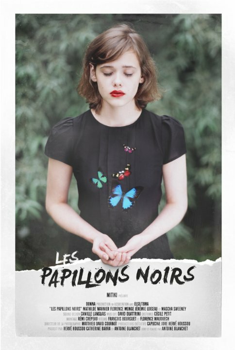 Les papillons noirs (2014) постер