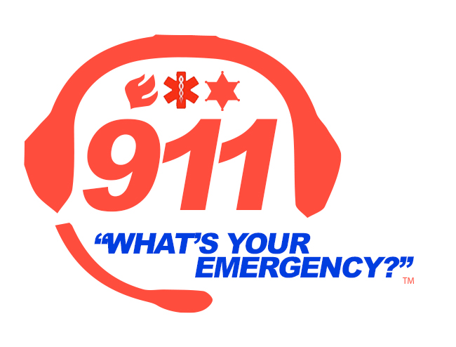 9-1-1: What's Your Emergency? (2018) постер