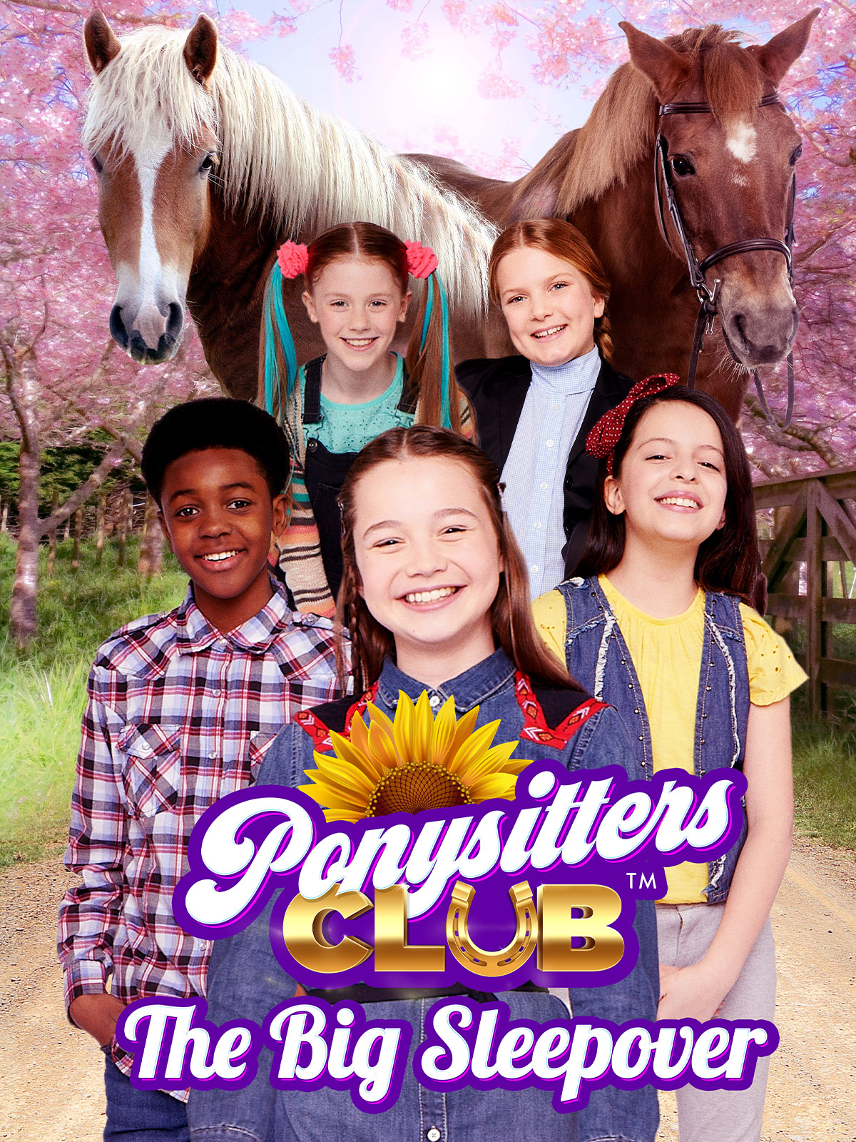 Ponysitters Club: The Big Sleepover (2020) постер