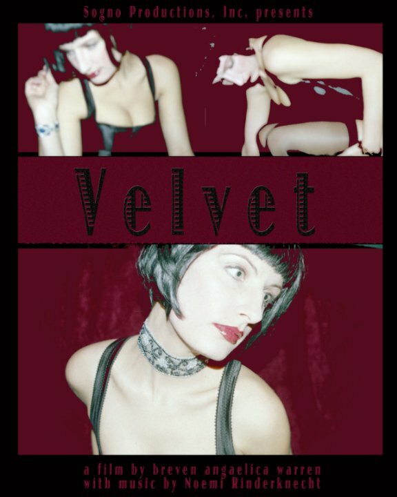 Velvet (2008) постер
