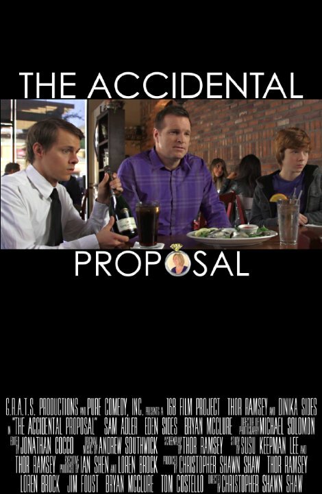 The Accidental Proposal (2013) постер