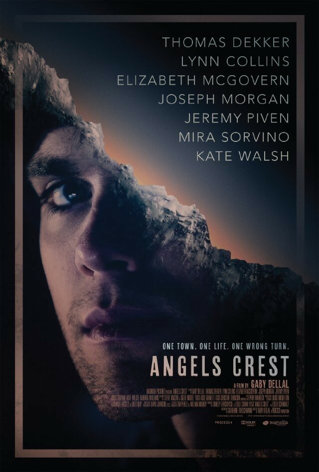Герб ангелов (2011) постер