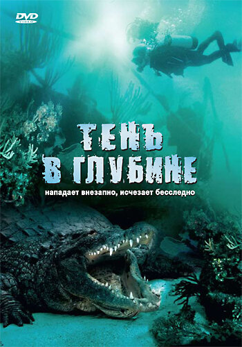 Тень в глубине (2007) постер
