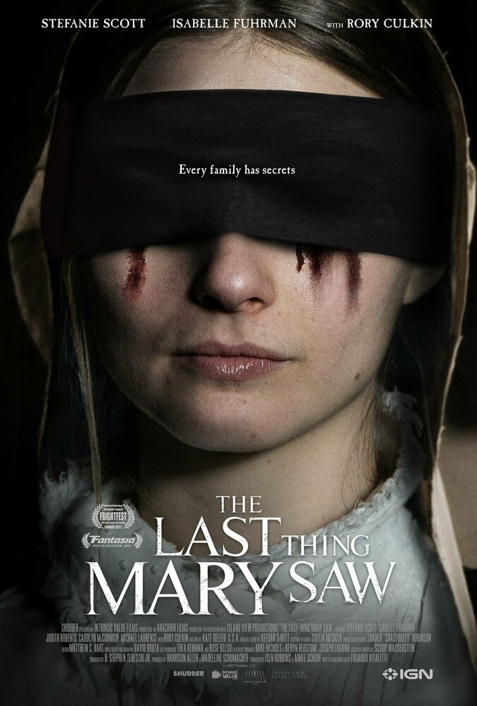 Последнее, что видела Мэри (2020) постер