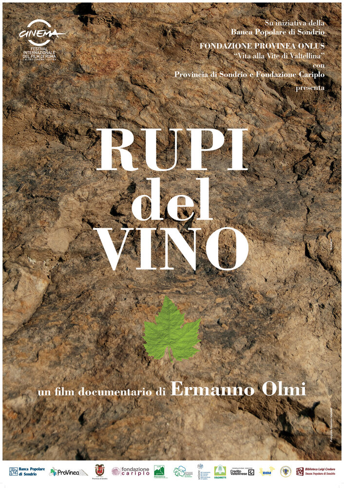 Виноградники среди скал (2009) постер