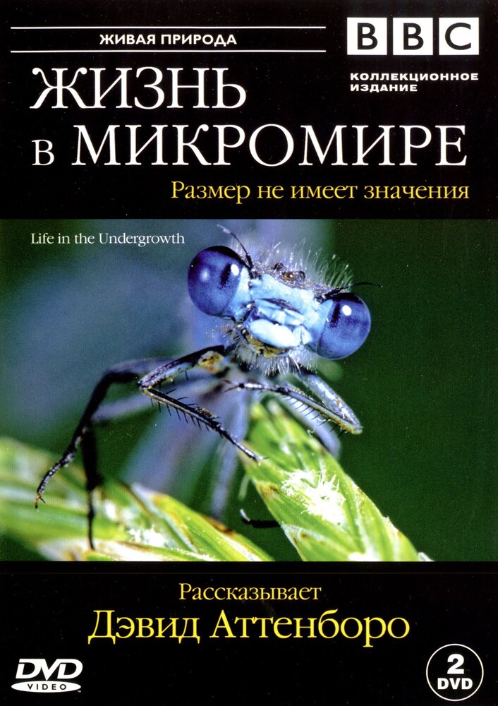 BBC: Жизнь в микромире (2005) постер