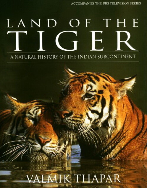 Земля тигров (1985) постер