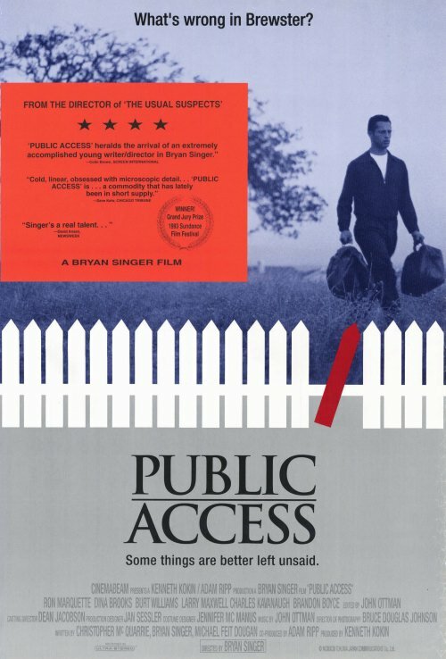 Публичный доступ (1993) постер