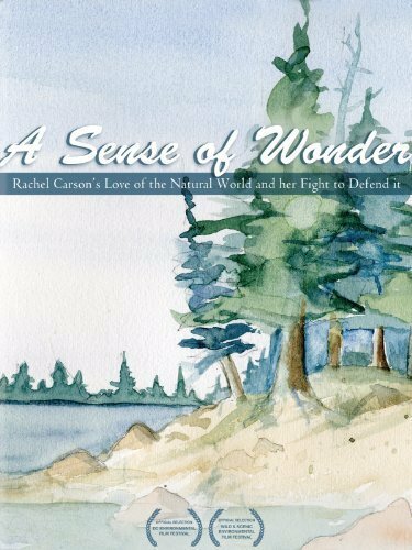 A Sense of Wonder (2008) постер