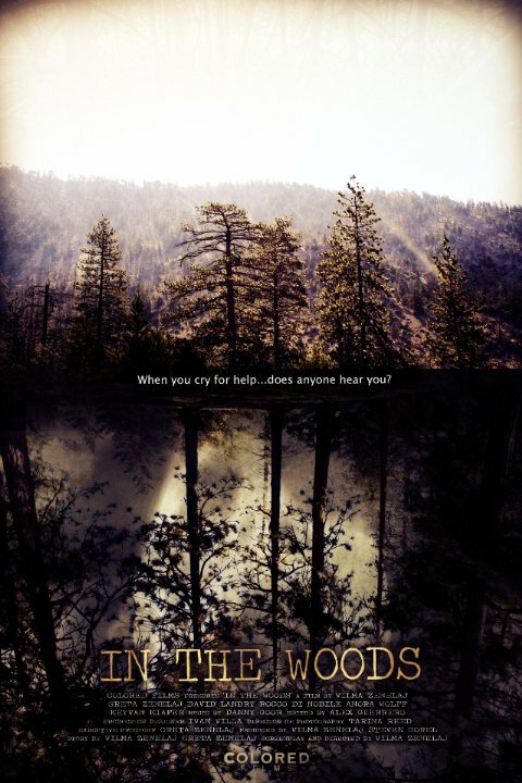 In the Woods (2010) постер