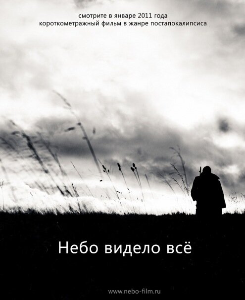 Небо видело всё (2011) постер