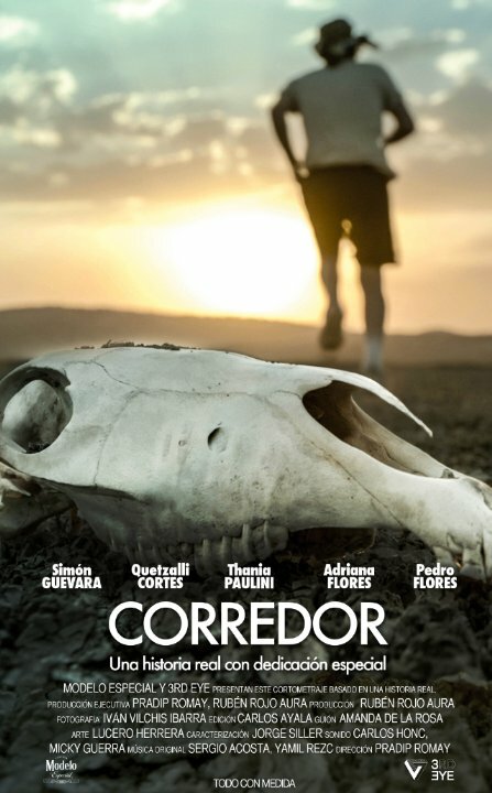 Corredor (2013) постер