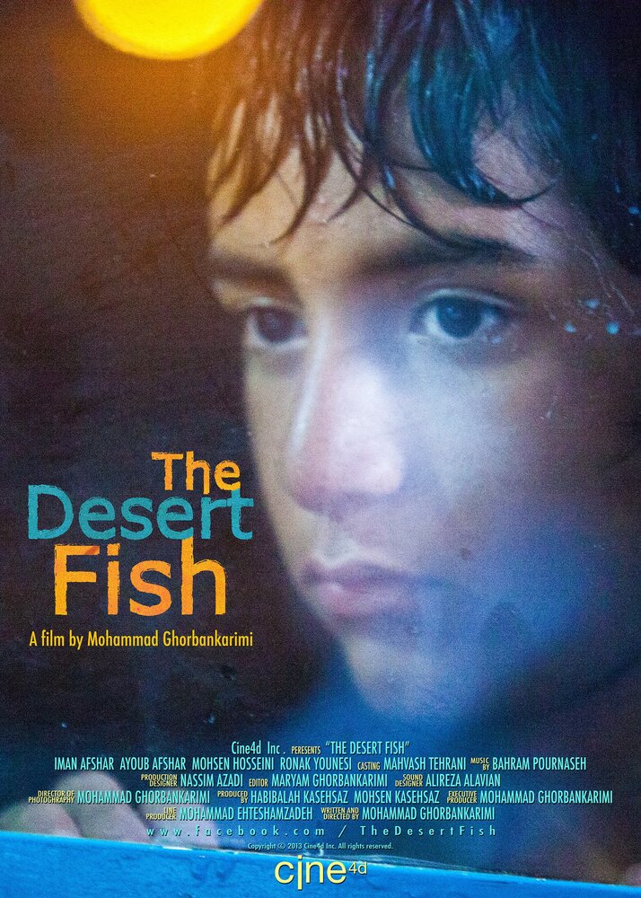 The Desert Fish (2013) постер