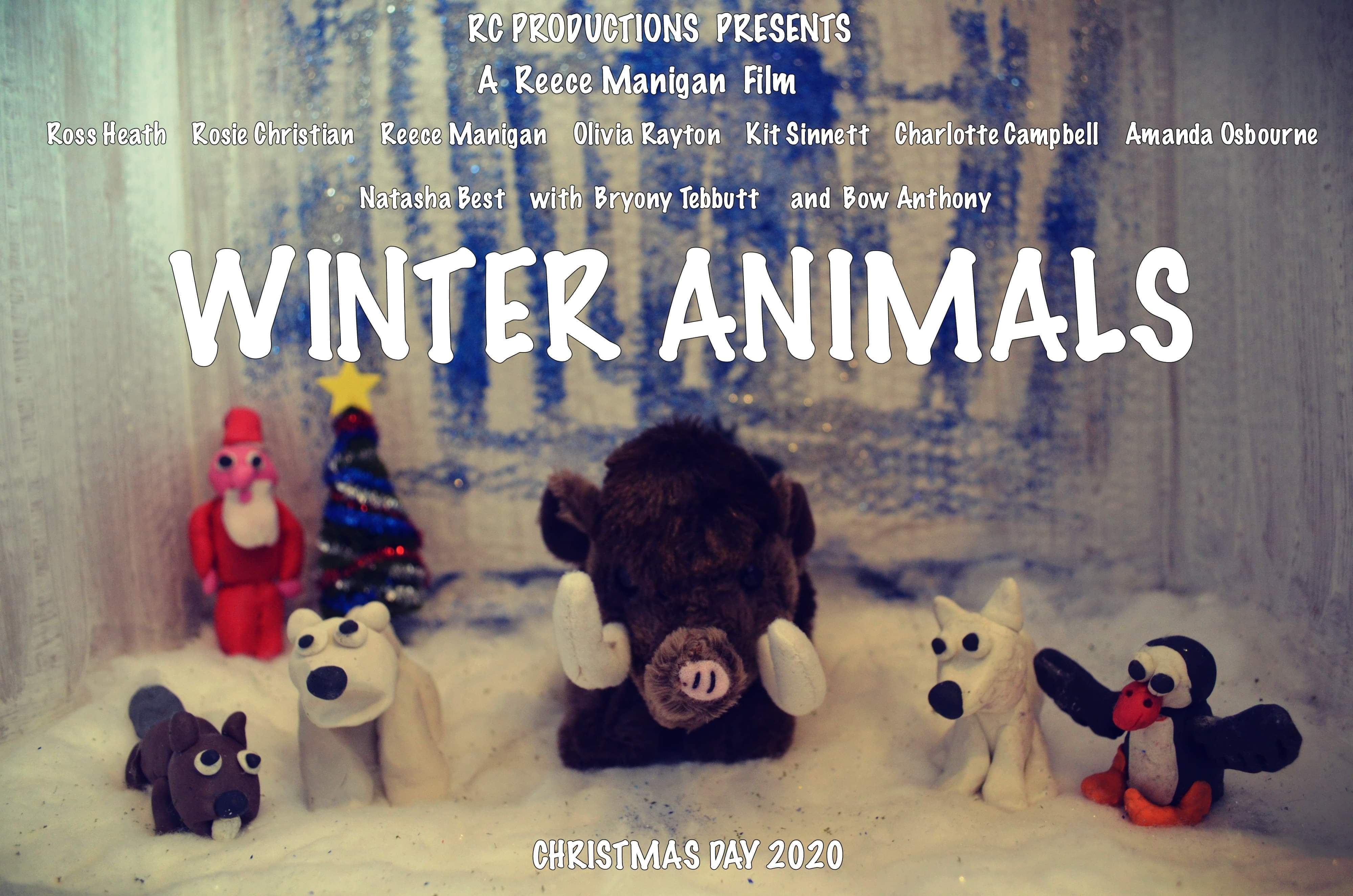 Winter Animals (2020) постер