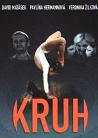 Круг (2001) постер