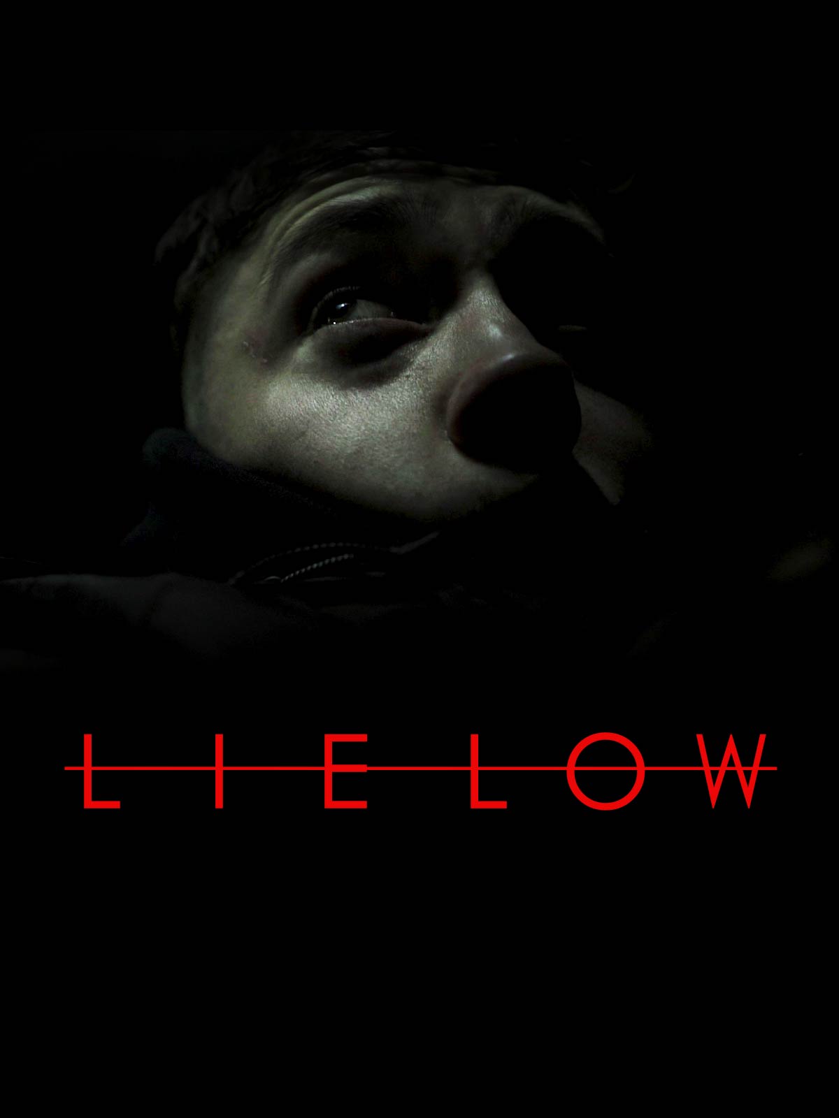 Lie Low постер