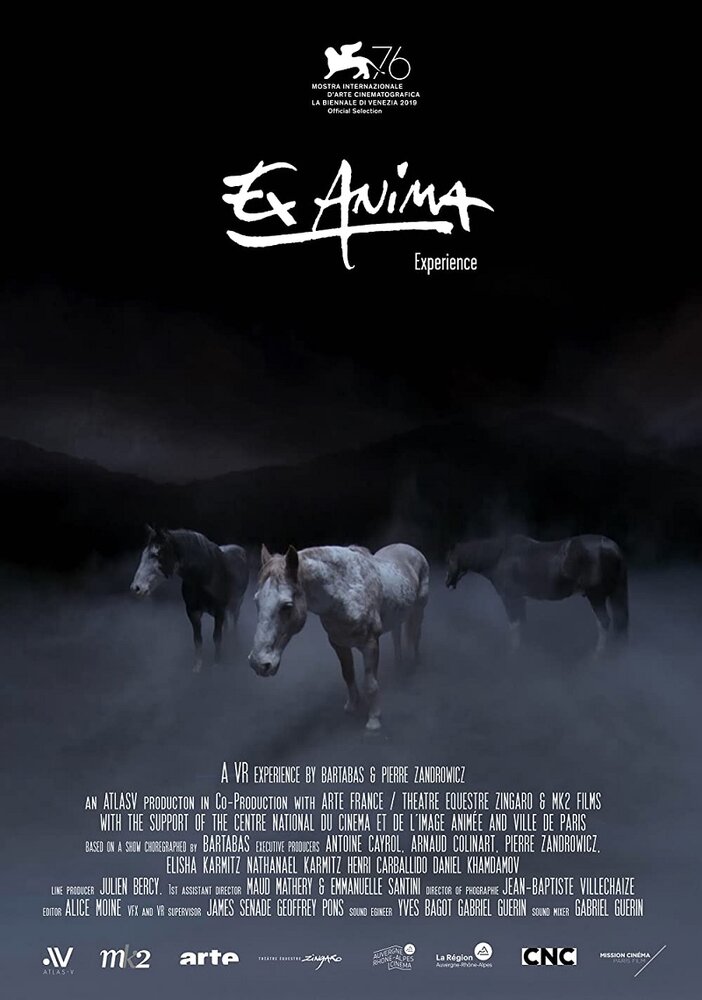 Ex Anima Experience (2019) постер