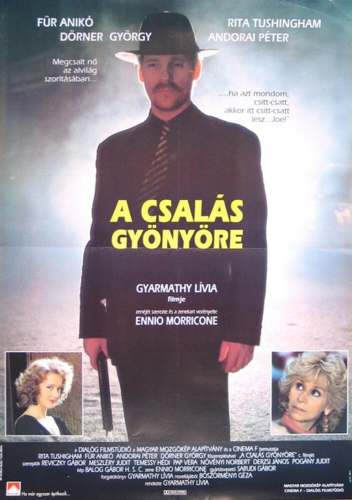 Удовольствие от обмана (1991) постер