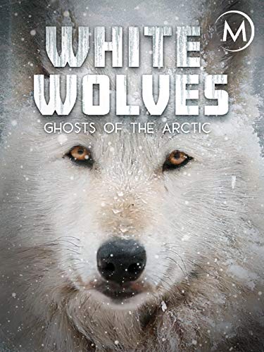 White Wolves: Ghosts of the Arctic (2017) постер