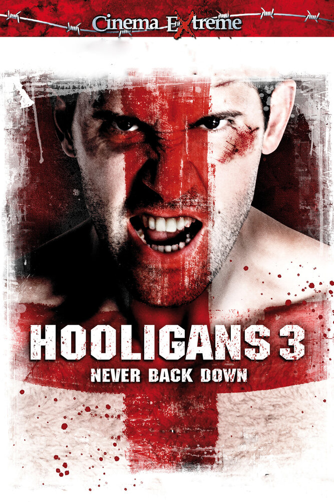 Хулиганы 3 (2013) постер