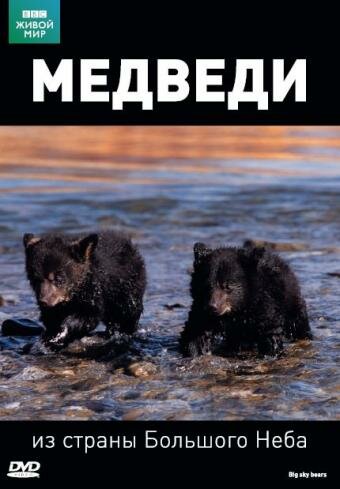 BBC: Медведи из страны большого неба (2006) постер