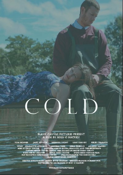 Холод (2013) постер