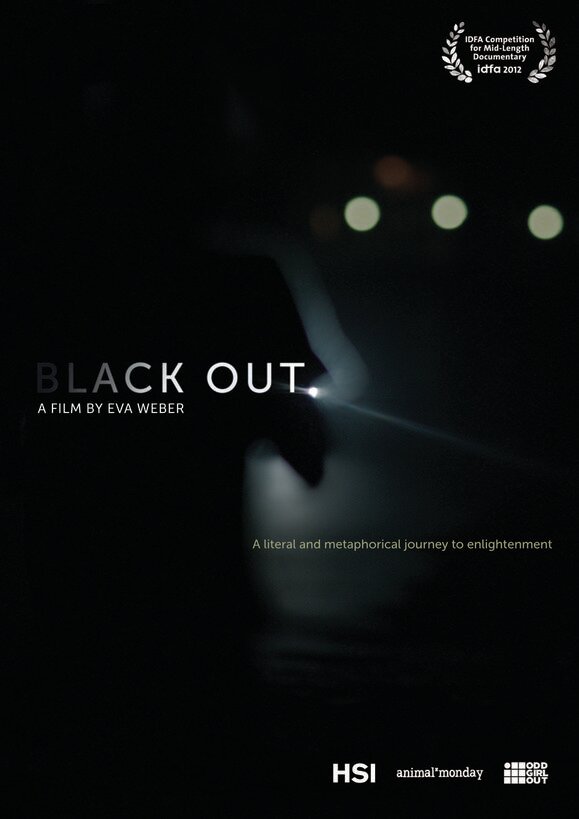 Black Out (2012) постер