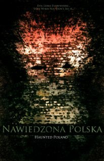 Призраки в Польше (2011) постер