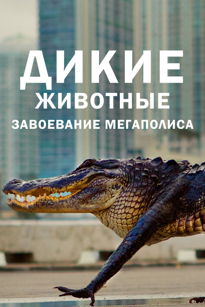 Дикие животные: Завоевание мегаполиса (2018) постер